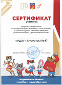 2020- Сертификат участника программы "Всероссийский физкультурно-спортивный комплекс в жизни дошколят"